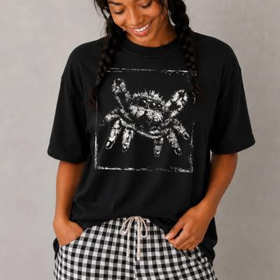 Adorable Spooky Little Jumping Spider - T-Shirt or Sweatshirt