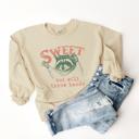  Sweet But Will Throw Hands Cute Raccoon Trash Panda Sweatshirt