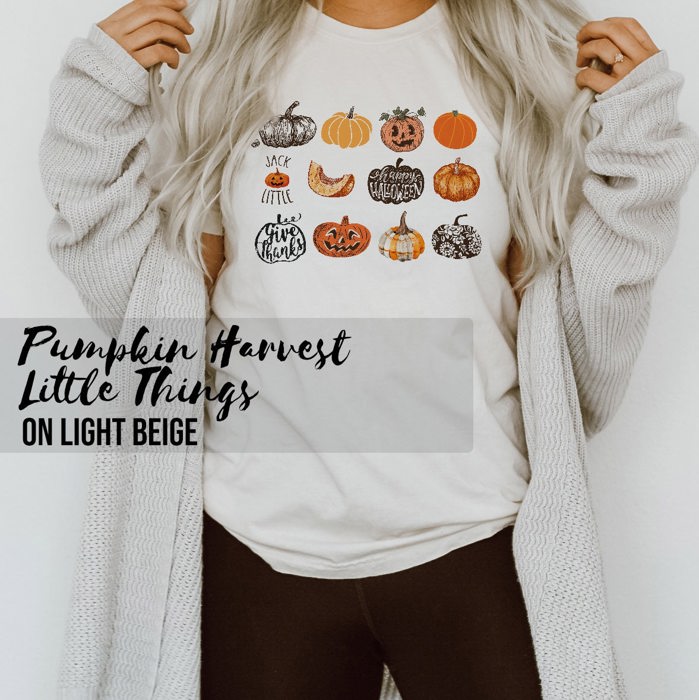 Pumpkin Harvest It's the Little Things that make the best memories Unisex Heavyweight Comfort Tee