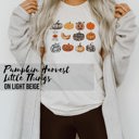  Pumpkin Harvest It's the Little Things that make the best memories Unisex Heavyweight Comfort Tee