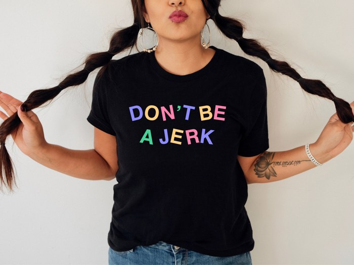 Don't Be a Jerk Soft Cozy Longer Length Unisex Graphic Tee T-shirt