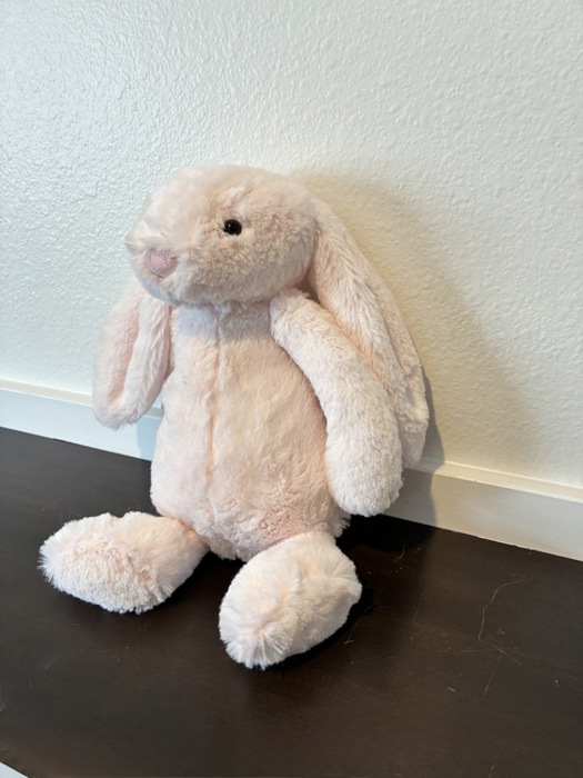 Embroidered Personalized Easter Bunny | Easter Basket Gifts for Kids