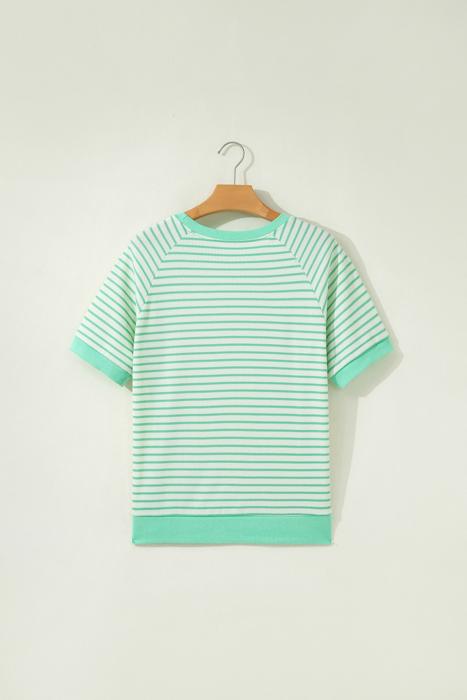 Stripe Colorblock Trim Short Sleeve Tee | S-XL
