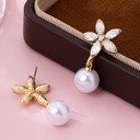  Glass Crystal Star-flower & Round Pearl Earrings
