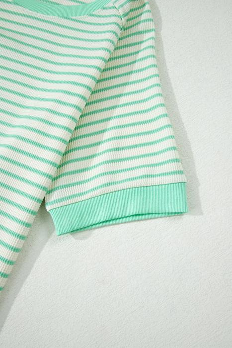 Stripe Colorblock Trim Short Sleeve Tee | S-XL