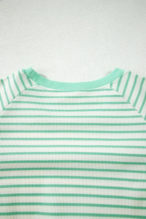 Stripe Colorblock Trim Short Sleeve Tee | S-XL