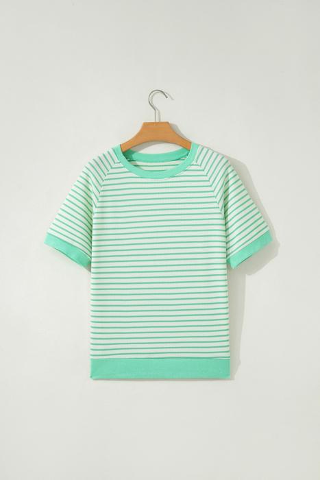 Stripe Colorblock Trim Short Sleeve Tee | S-XL