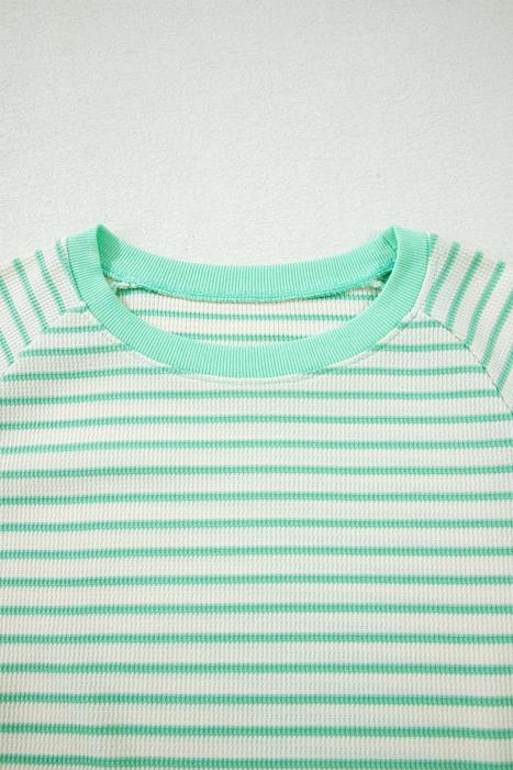 Stripe Colorblock Trim Short Sleeve Tee | S-XL