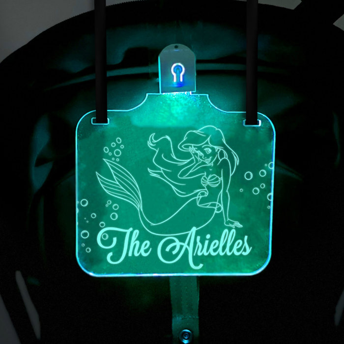 Personalized Stroller Light Up Sign