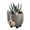 Hedgehog Pot | Decorative Ceramic Planter | Mini Animal Shaped Pot for Succulents/Small Plants Animal Shaped Plant Pots - Fish, Zebra, Walrus, Giraffe, Hedgehog, Llama and more