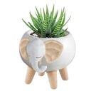 White Elephant Pot | Decorative Succulents Ceramic Planter  | 2.5" Tall Animal Shaped Plant Pots - Fish, Zebra, Walrus, Giraffe, Hedgehog, Llama and more