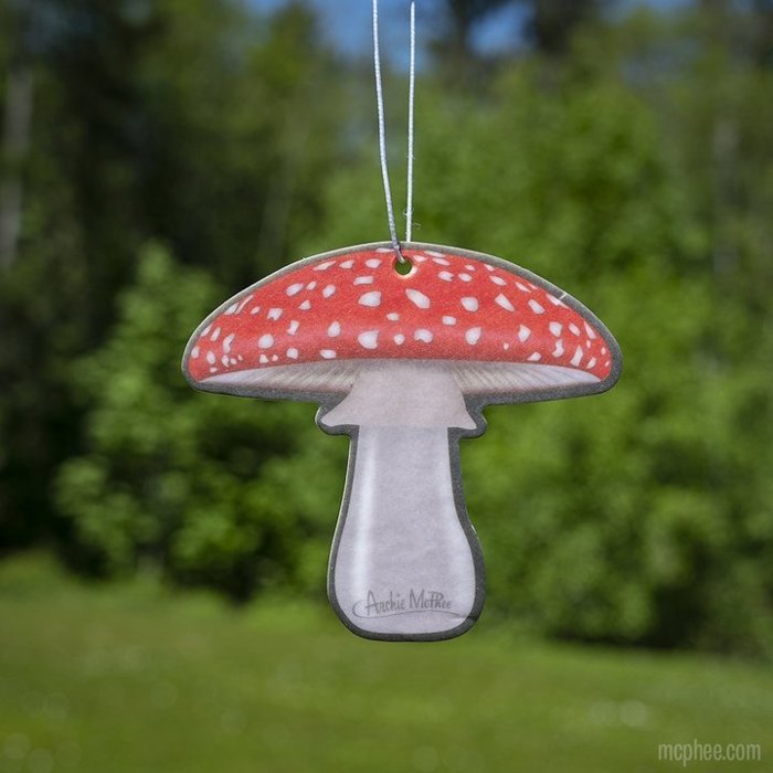 Car Air Freshener Funny - 10 Options - Cat, Mushroom, Goldfish, Squirrel in Underpants, Crow etc. 