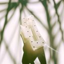 Polka Dot Black on White Jane Exclusive Hair Claws Stocking Stuffers - Giftable Styles You’ll Love