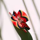 Retro Love in Multi Jane Exclusive Hair Claws Stocking Stuffers - Giftable Styles You’ll Love