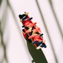Retro Love in Multi Jane Exclusive Hair Claws Stocking Stuffers - Giftable Styles You’ll Love