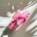 The Lobster in Berries & Cream Swirl Strong Hair Claw for Long Hair | Claw Clip Hair Accessories