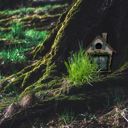 Believe Mini Fairy Door | 4" Tall Faux Faerie Elf Door Outdoor Garden Decor