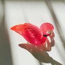 Pink Flamingo Jane Exclusive Hair Claws Stocking Stuffers - Giftable Styles You’ll Love