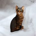 Ultra Realistic Brown Tabby Cat Jane Exclusive Hair Claws Stocking Stuffers - Giftable Styles You’ll Love