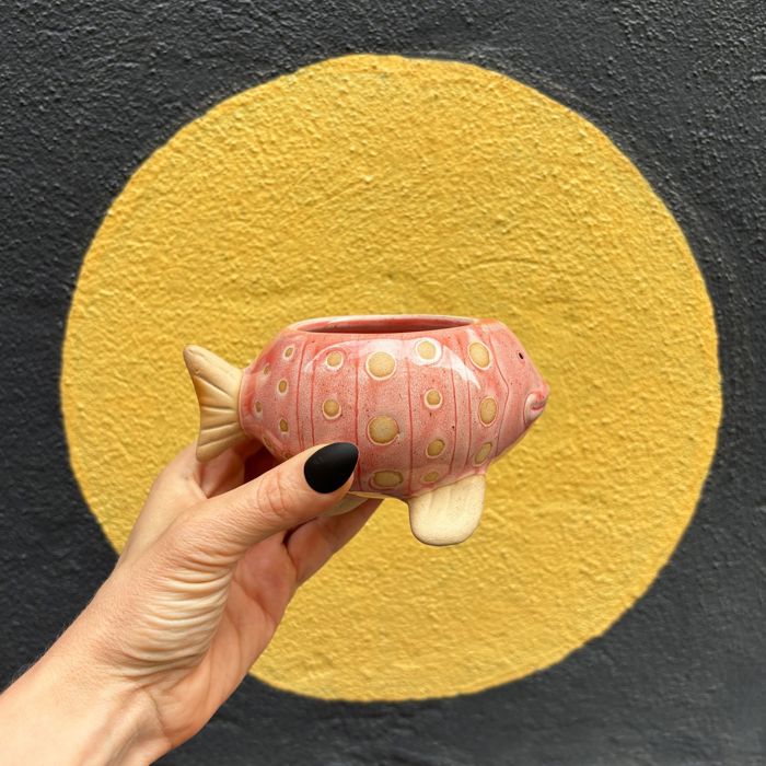 Animal Shaped Plant Pots - Fish, Zebra, Walrus, Giraffe, Hedgehog, Llama and more