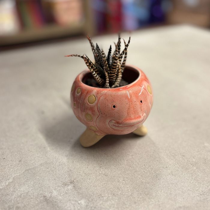 Animal Shaped Plant Pots - Fish, Zebra, Walrus, Giraffe, Hedgehog, Llama and more