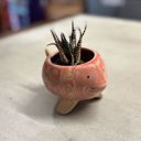 Pink Fish Mini Planter Pot | Tropical Shaped Fish Pot | Decorative Animal Design | 5" x 3" Animal Shaped Plant Pots - Fish, Zebra, Walrus, Giraffe, Hedgehog, Llama and more