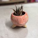 Pink Fish Mini Planter Pot | Tropical Shaped Fish Pot | Decorative Animal Design | 5" x 3" Animal Shaped Plant Pots - Fish, Zebra, Walrus, Giraffe, Hedgehog, Llama and more