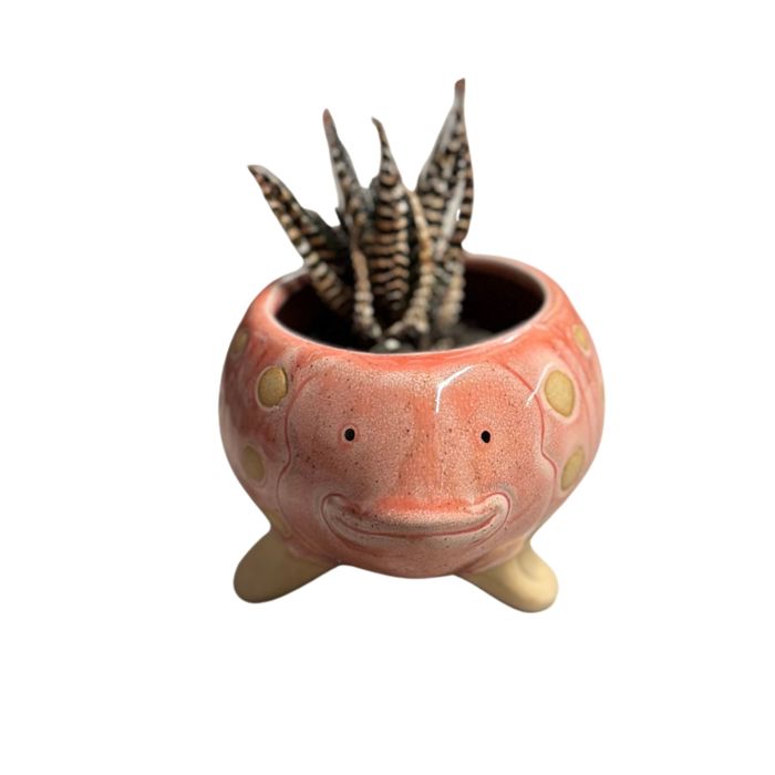 Animal Shaped Plant Pots - Fish, Zebra, Walrus, Giraffe, Hedgehog, Llama and more
