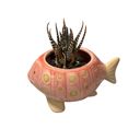 Pink Fish Mini Planter Pot | Tropical Shaped Fish Pot | Decorative Animal Design | 5" x 3" Animal Shaped Plant Pots - Fish, Zebra, Walrus, Giraffe, Hedgehog, Llama and more