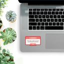  Born in the 1900s Gen X Millennial Sticker | Phone Water Bottle Vinyl Decals | 3 Pack
