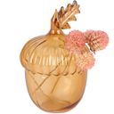  Acorn Glass Bud Vase | Fall Seasonal Decorative Mini Vase | 3" x 4.25" x 2.75"