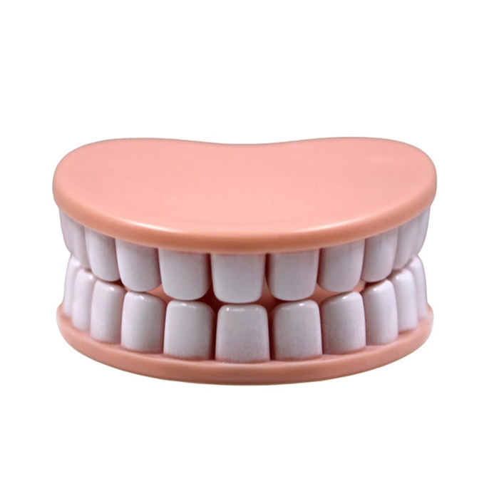 Denture Chip Clips | Set of 4 Teeth-Shaped Bag Clips