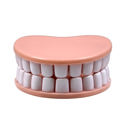  Denture Chip Clips | Set of 4 Teeth-Shaped Bag Clips