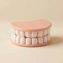  Denture Chip Clips | Set of 4 Teeth-Shaped Bag Clips