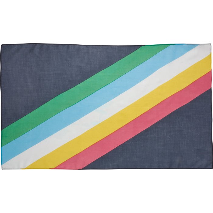 Disability Pride Small Scarf | Disability Flag Color Rainbow Stripe Bandana | 30" x 18"