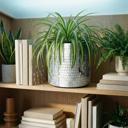 Disco Tabletop Planter | Handmade Mirror Ball Plant Pot for Indoor Plants