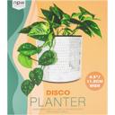 Disco Tabletop Planter | Handmade Mirror Ball Plant Pot for Indoor Plants