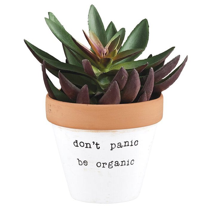 Don't Panic Be Organic Clay Pot Planter | Gardener Funny Mom Gifts