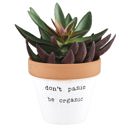  Don't Panic Be Organic Clay Pot Planter | Gardener Funny Mom Gifts
