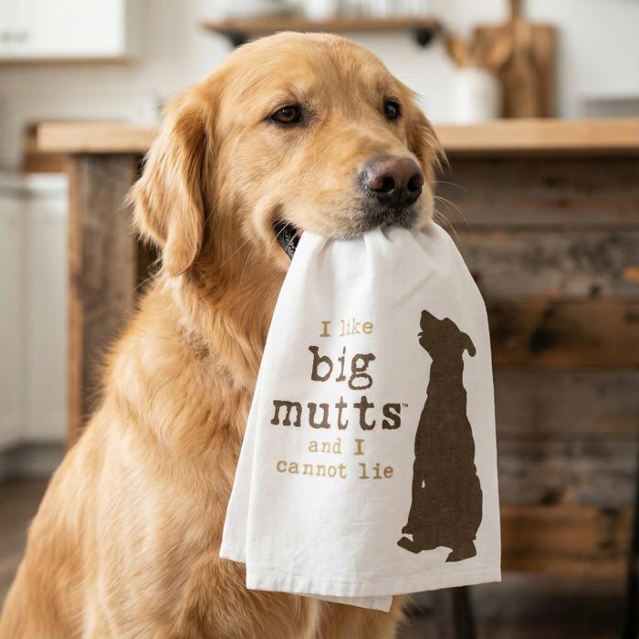 All Food Must Go To The Lab For Testing Dog Dish Cloth Towel Black Lab Labrador Retriever Funny Quote Gift