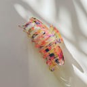 The Lobster in Translucent Blooms Strong Hair Claw for Long Hair | Claw Clip Hair Accessories