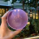 Pick Your Poison Roly Poly Tinted Glass in Pink | 13 oz. | Spooky Goth or Halloween Themed Cup
