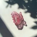  School of One Mini Fish Hair Claw in Translucent Pink