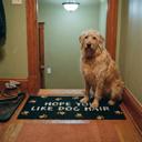  Hope You Like Dog Hair Indoor/Outdoor Rug | 34" x 20" | Slip-Resistant Backing