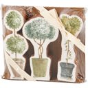 Set of 3 Wooden Topiary | Stand-Alone Wooden Plant Shaped Decor