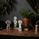  Set of 3 Wooden Topiary | Stand-Alone Wooden Plant Shaped Decor