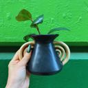  Triomphe Handle Vase | Minimalist Black and Gold | 4.5" Tall