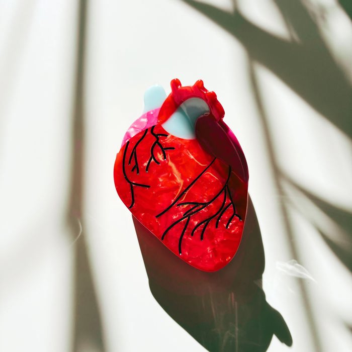 Anatomical Heart Hair Clip | Gothic Red Heart Shaped Claw Clip