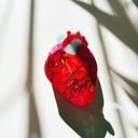  Anatomical Heart Hair Clip | Gothic Red Heart Shaped Claw Clip