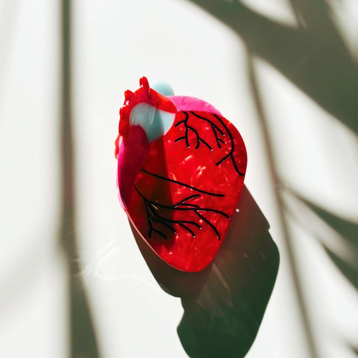 Anatomical Heart Hair Clip | Gothic Red Heart Shaped Claw Clip